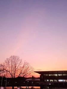 洪荒开局帝道法则化形免费